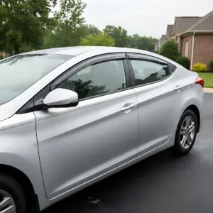 CORRELLUVIA DOS COLORES PARA ELANTRA 5TA GENERACIÓN 2012-2015 - E587140