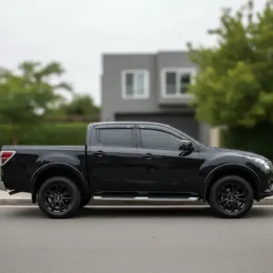 CORRELLUVIA NEGRO PARA BT-50 2012-20 4 PIEZAS - E582006