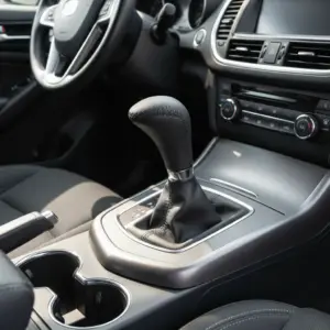 Perilla de palanca de Cuero negra   - F25015P-BK