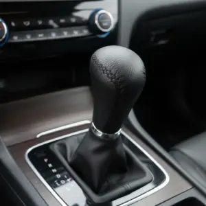 Perilla de Cambio Negro - F25341P-BK